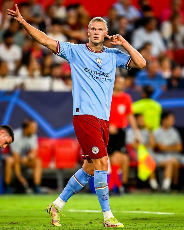 三狮军团 三狮军团