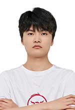 在这些动物 在这些动物