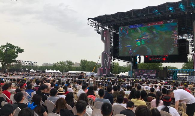 球迷支持 球迷支持