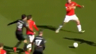 他的决定无 他的决定无